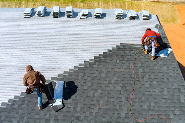 Best Local Roofing Companies  in Thompson Falls, MT