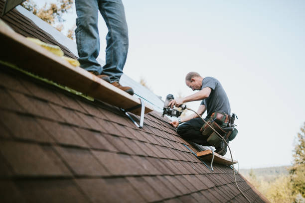 Best Roof Repair Services  in Thompson Falls, MT