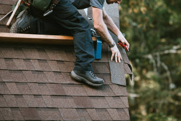 Best Local Roofing Companies  in Thompson Falls, MT