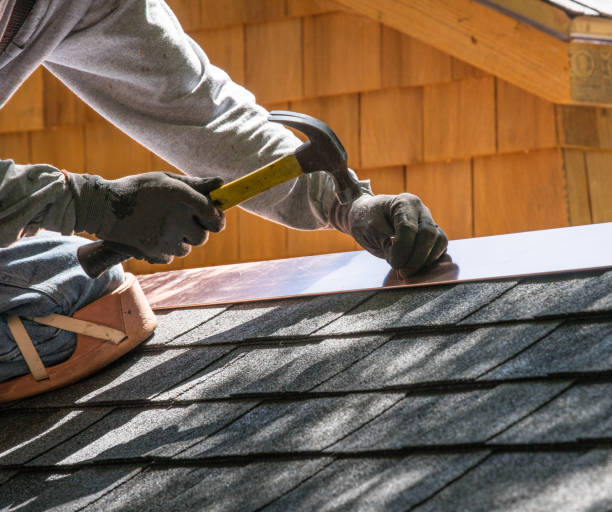 Best Roof Gutter Cleaning  in Thompson Falls, MT
